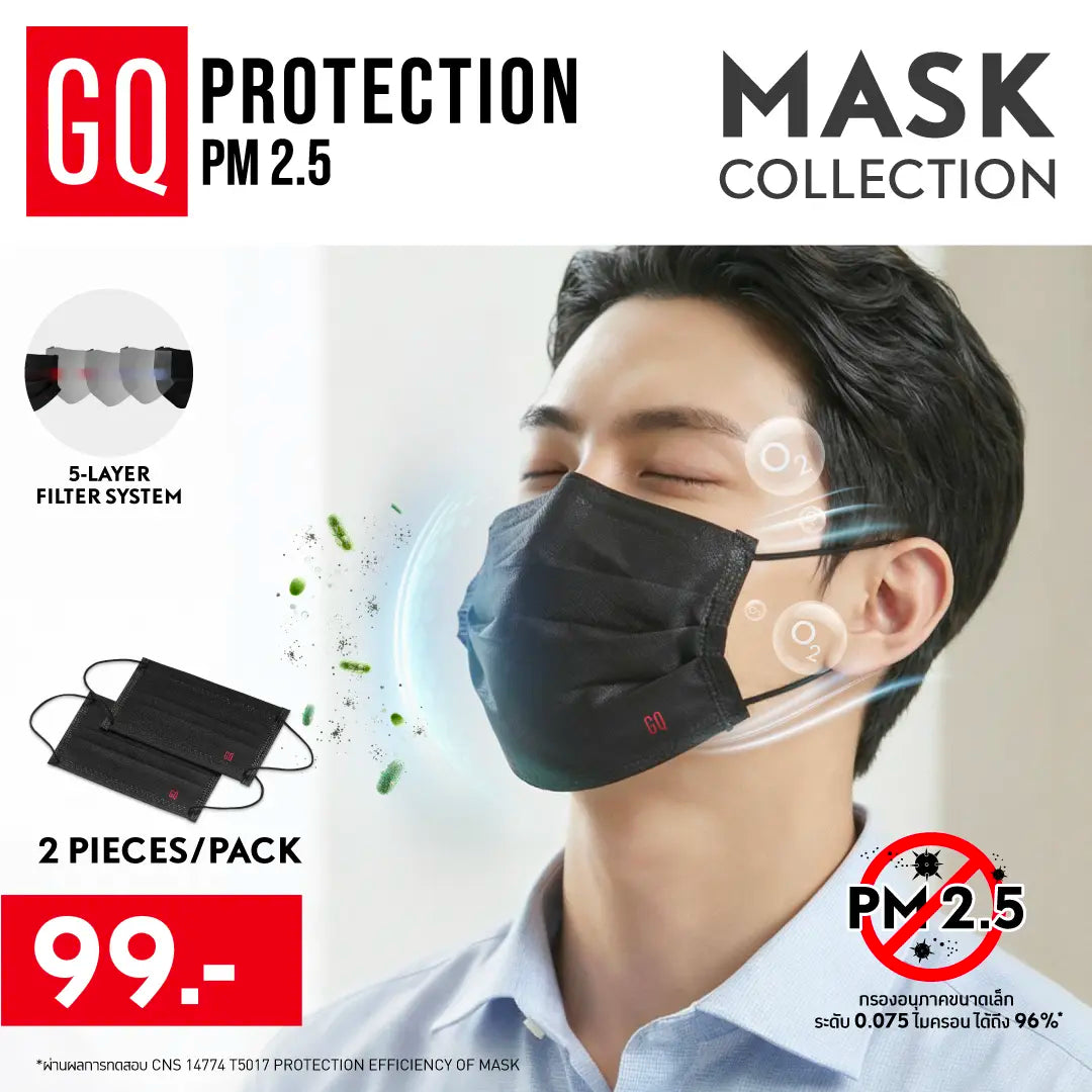 GQ PROTECTION PM 2.5  2-Pack