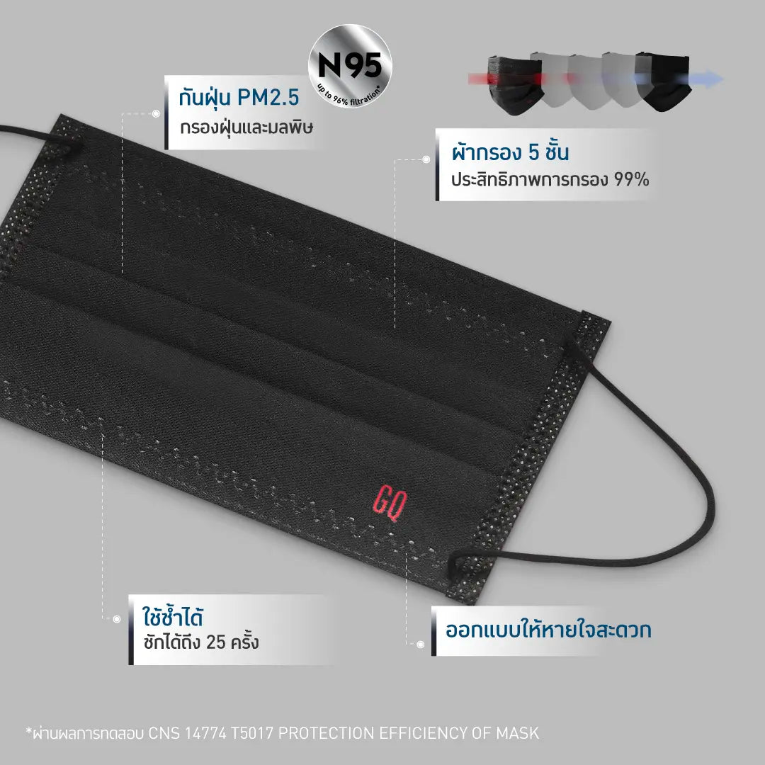 GQ PROTECTION PM 2.5  2-Pack